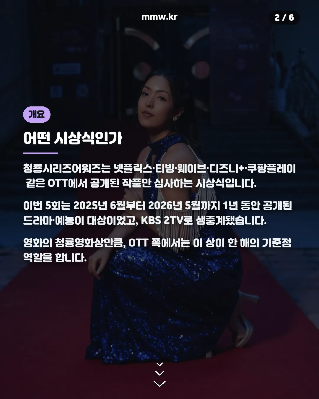 청룡시리즈어워즈 OTT 시상식 개요