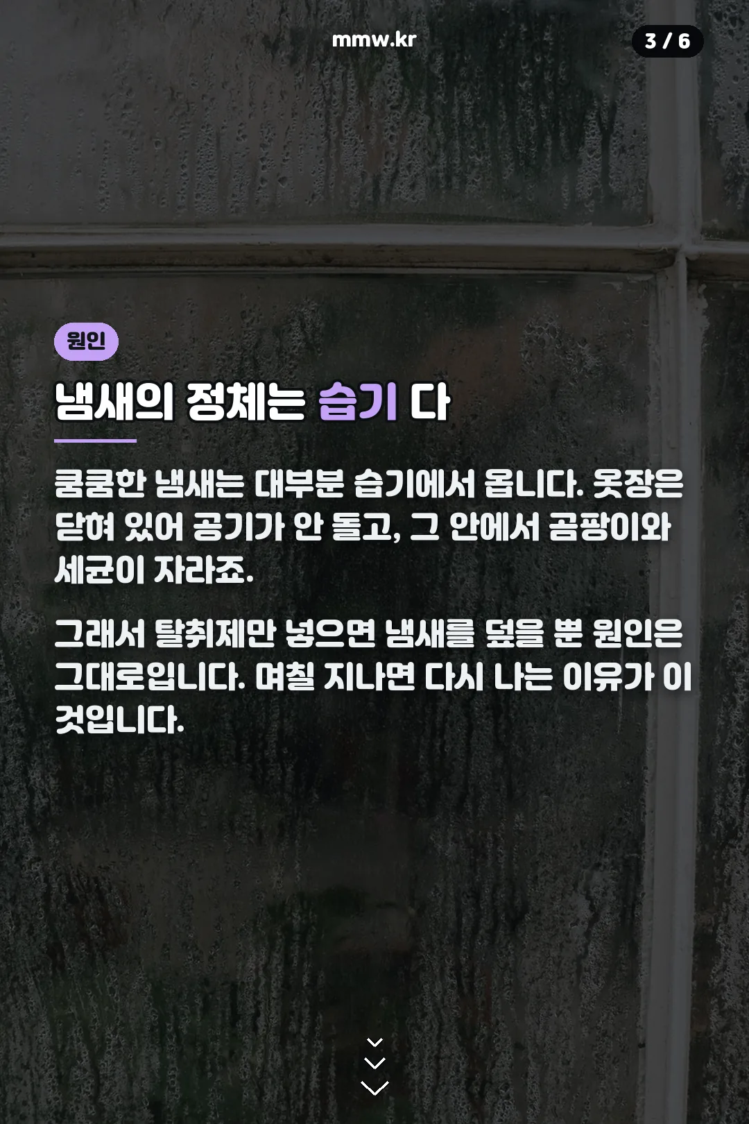 냄새 원인