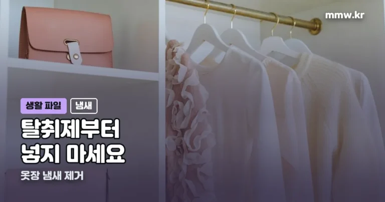 옷장 냄새 제거 — 탈취제만 넣으면 안 빠지는 이유