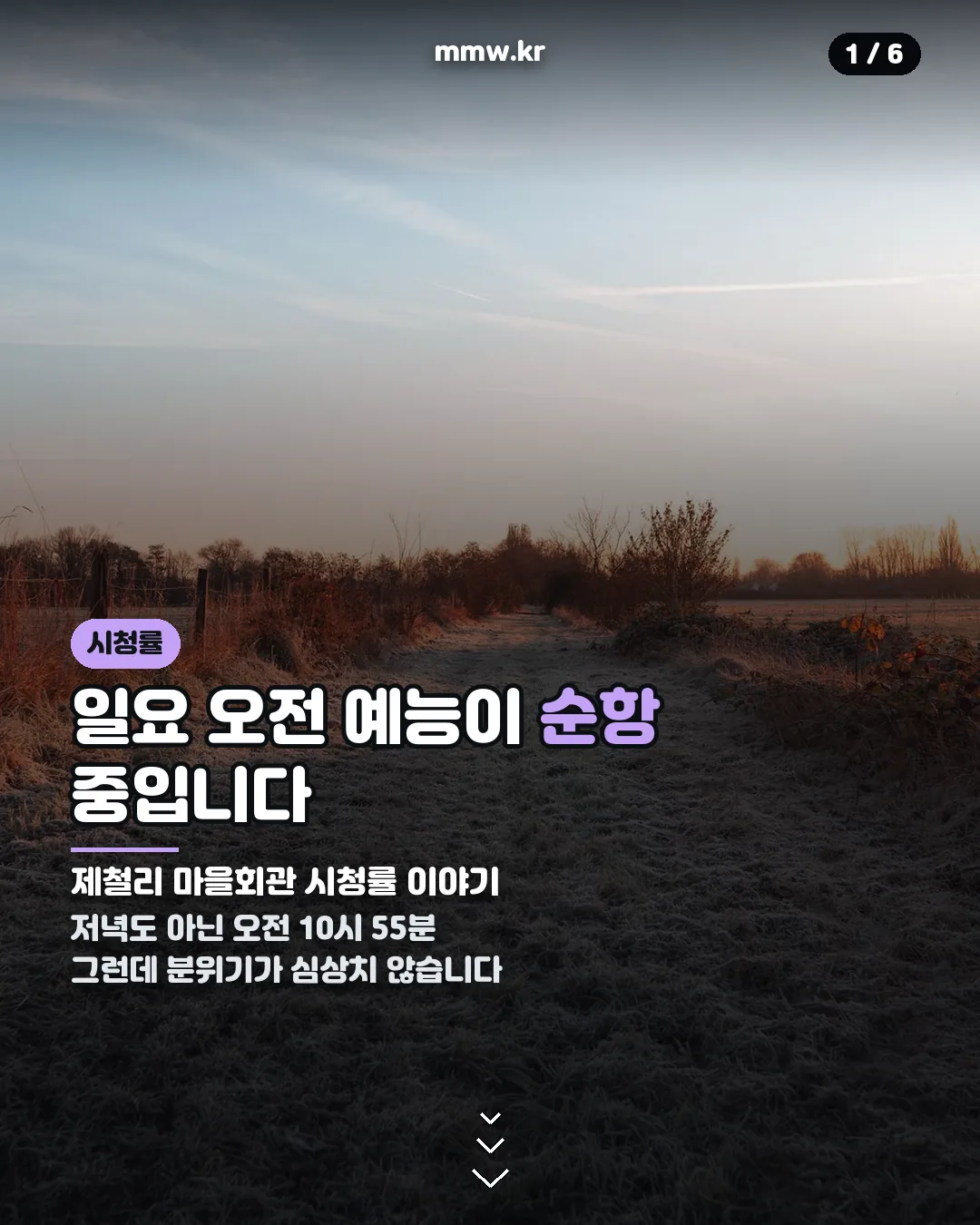 제철리 마을회관 시청률 정리 카드뉴스