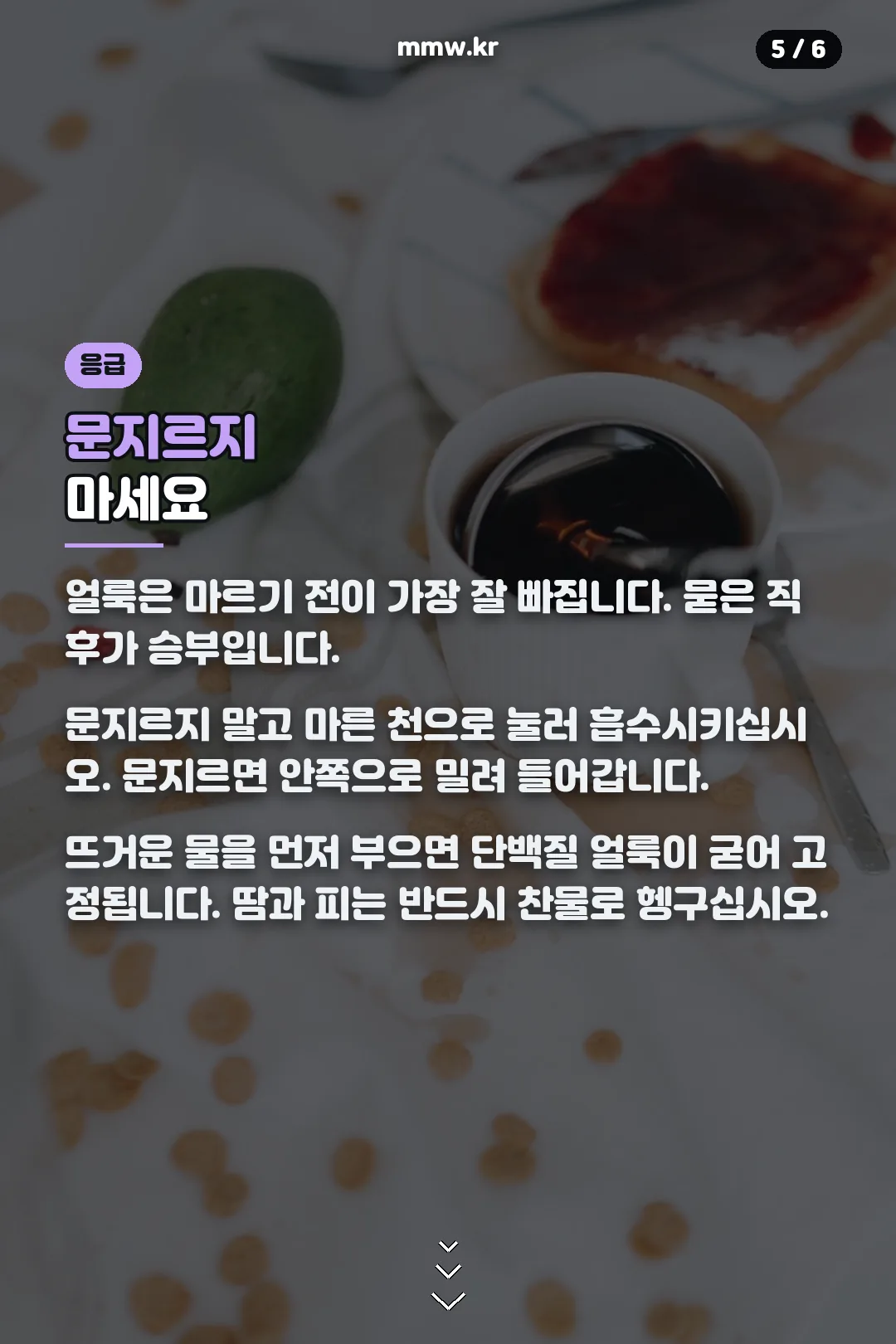 얼룩 응급처치