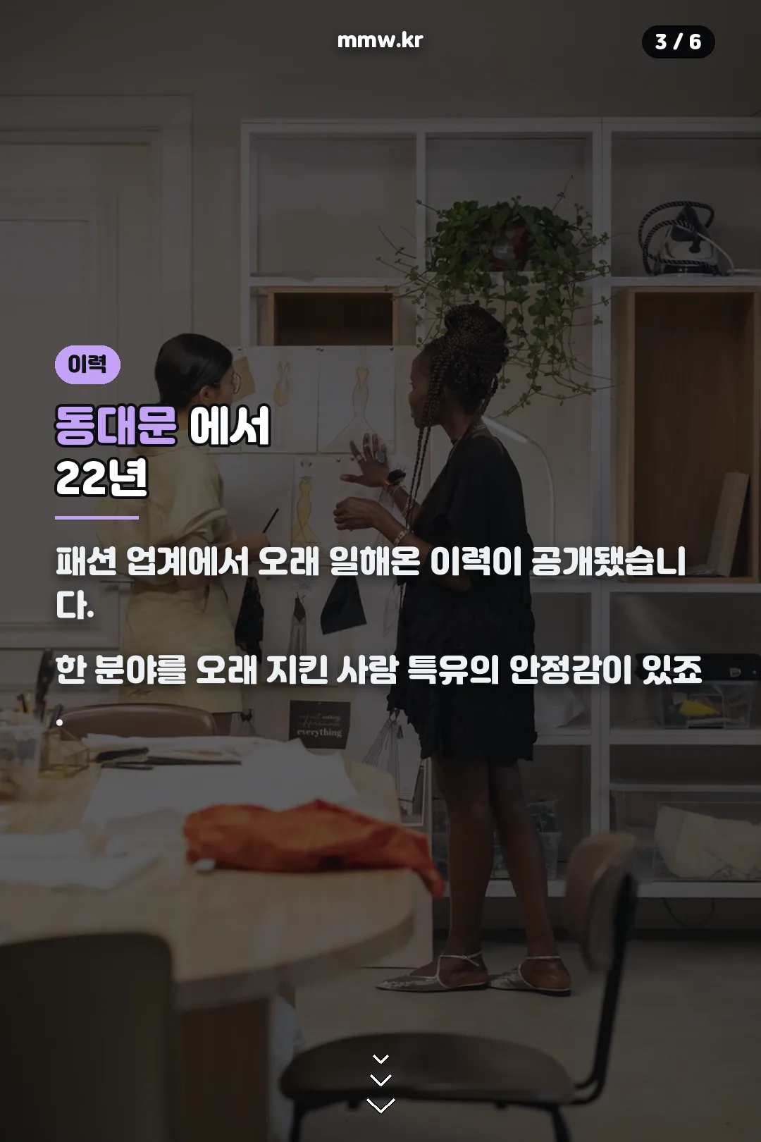 패션업계 이력