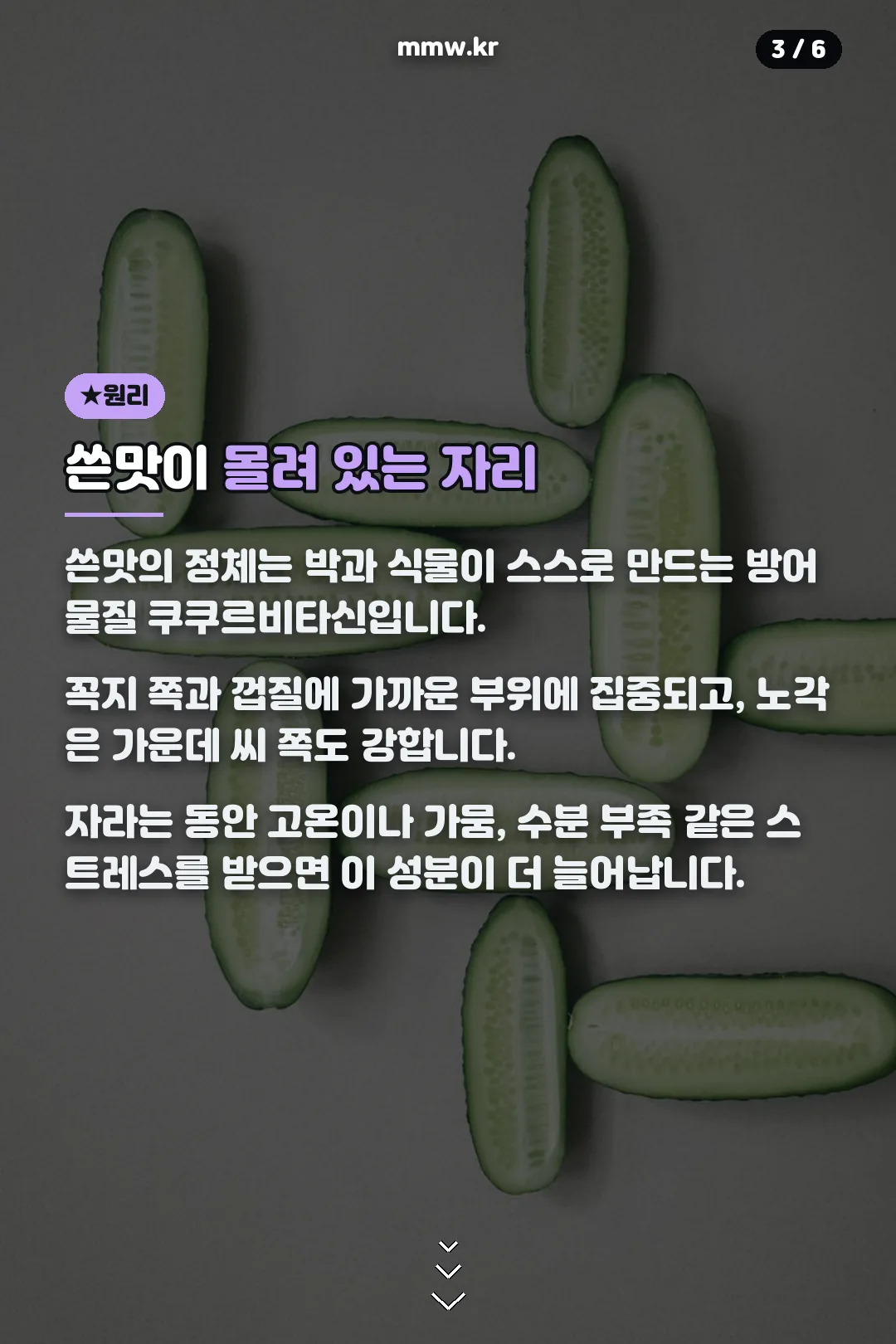 쓴맛이 몰린 부위