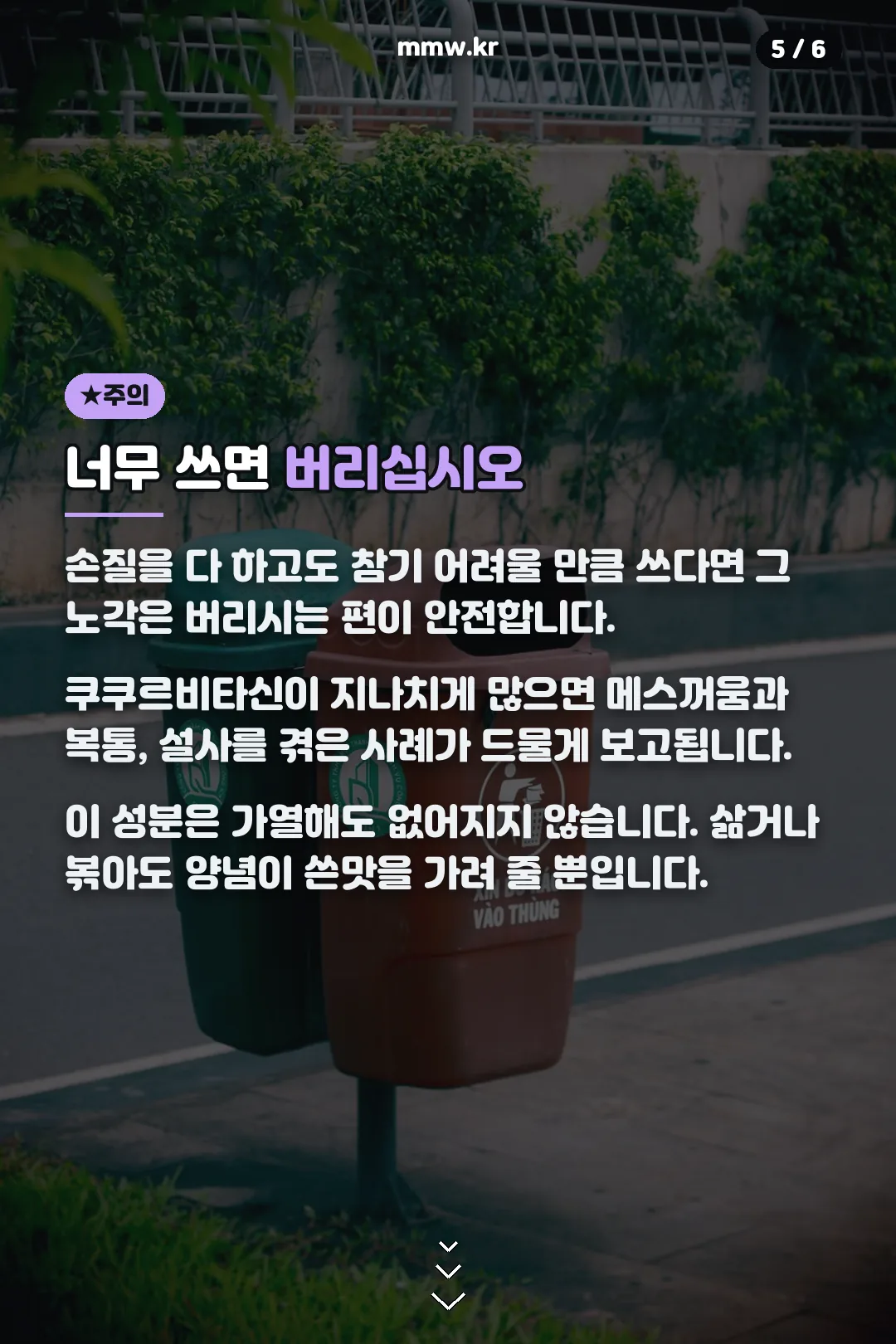 쓴 노각 주의