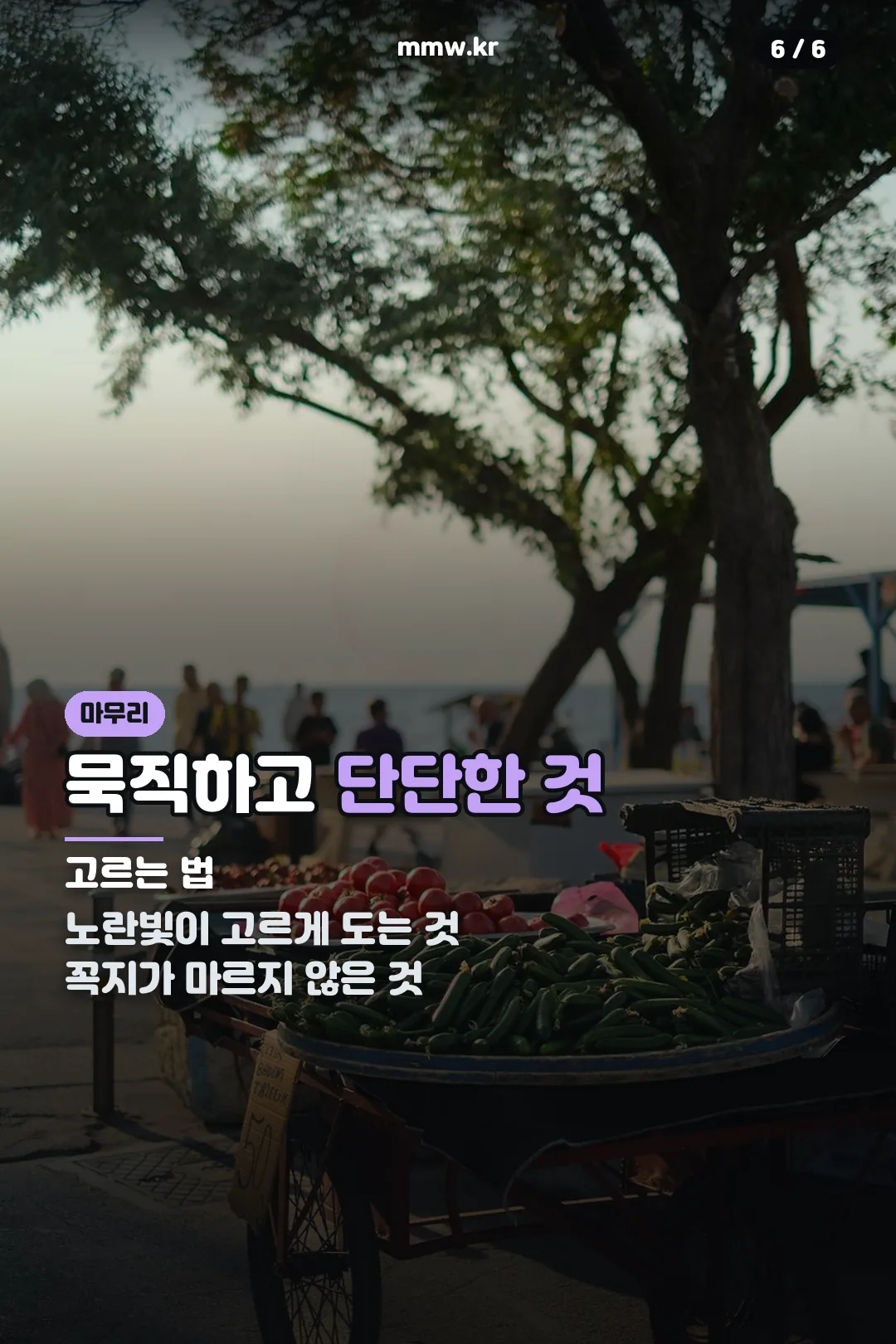 고르는 법