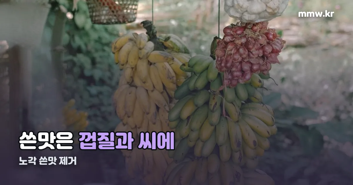 노각 쓴맛 제거 정리 썸네일