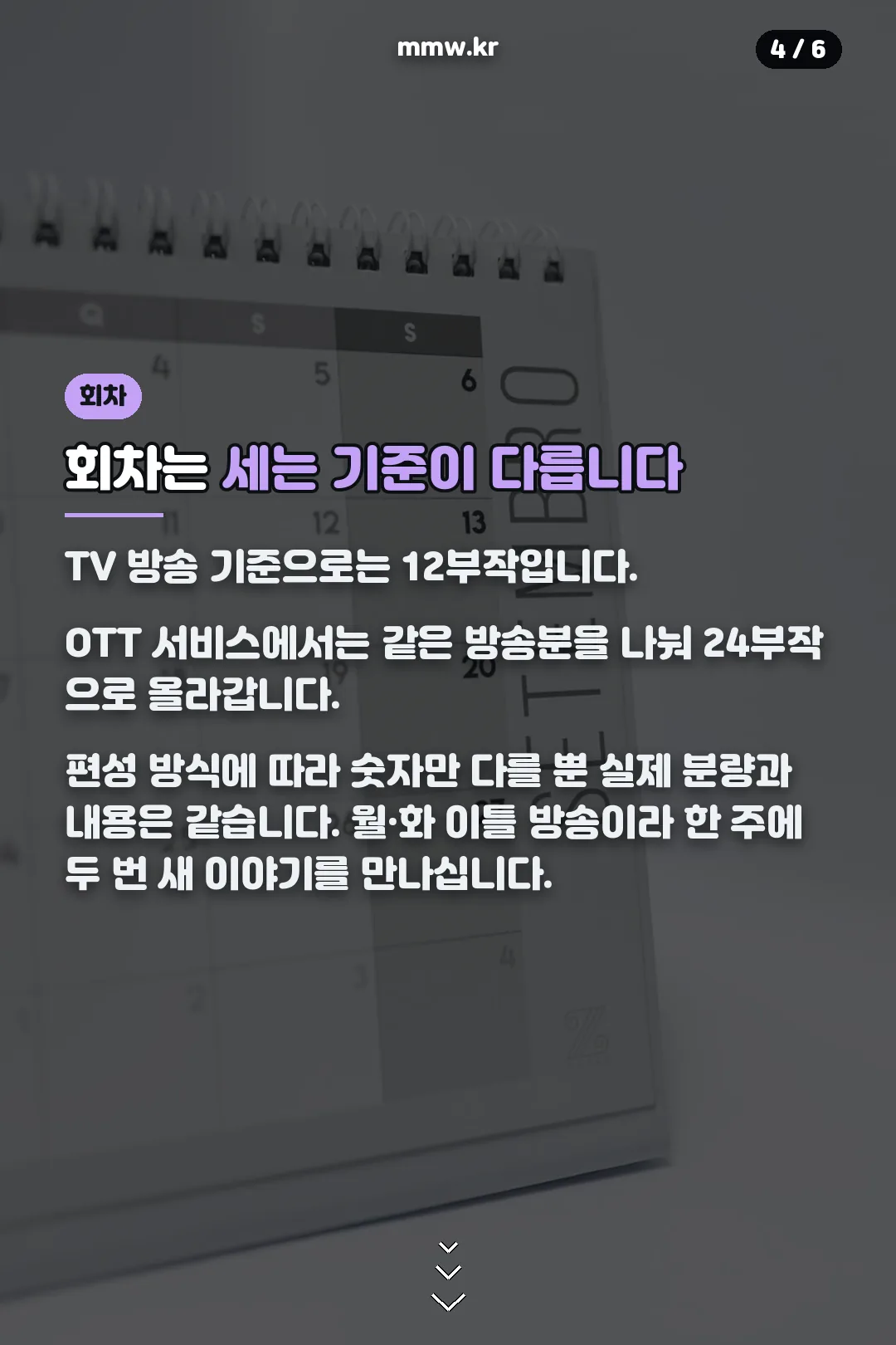 회차 구성