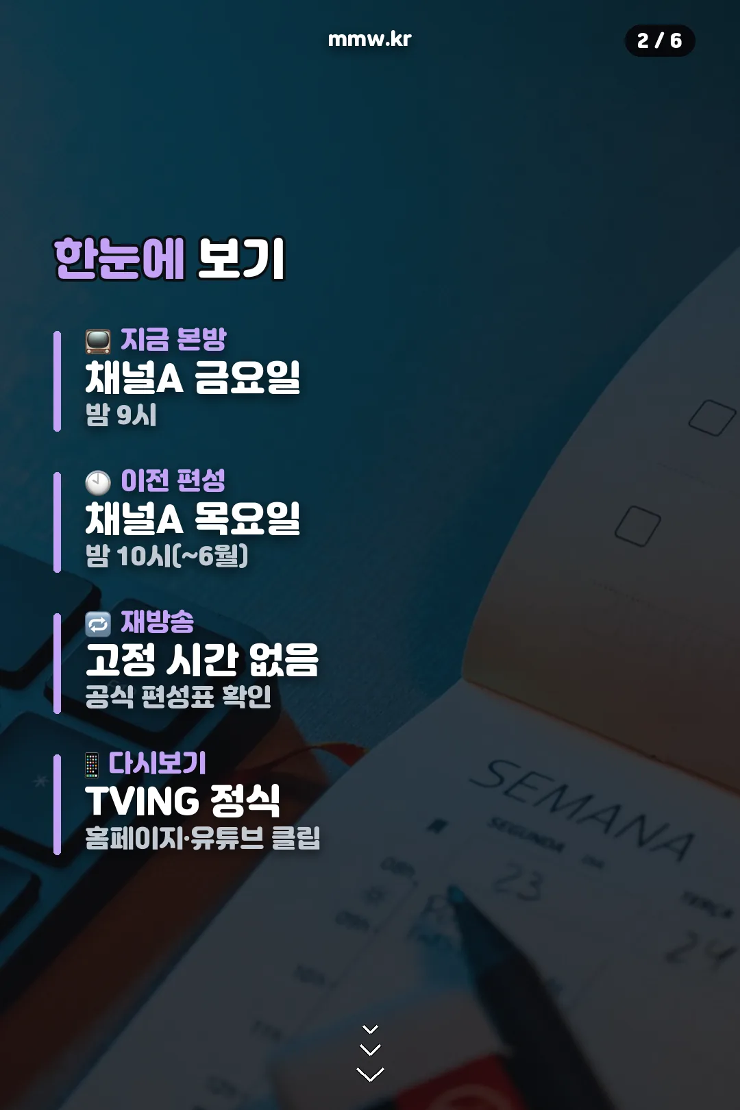 편성 요약