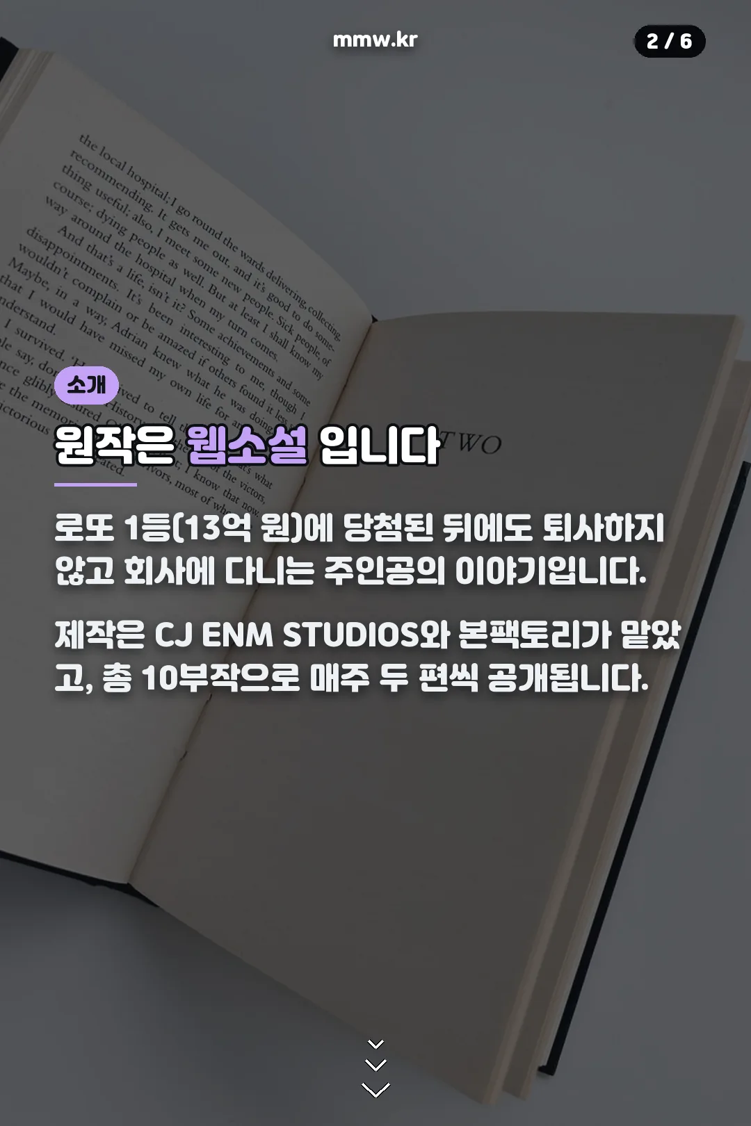 웹소설 원작 설정 소개