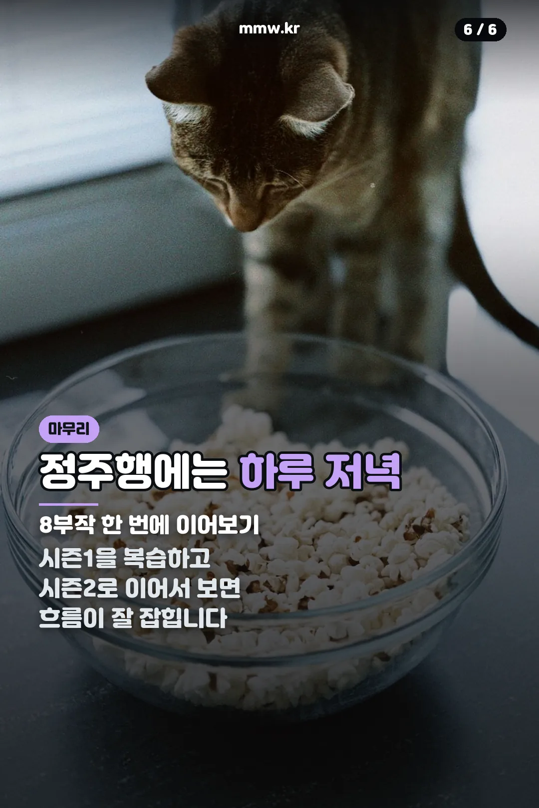 정주행 마무리 팁