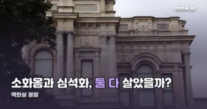 백화살 결말 — 소화옹과 심석화는 어떻게 됐나