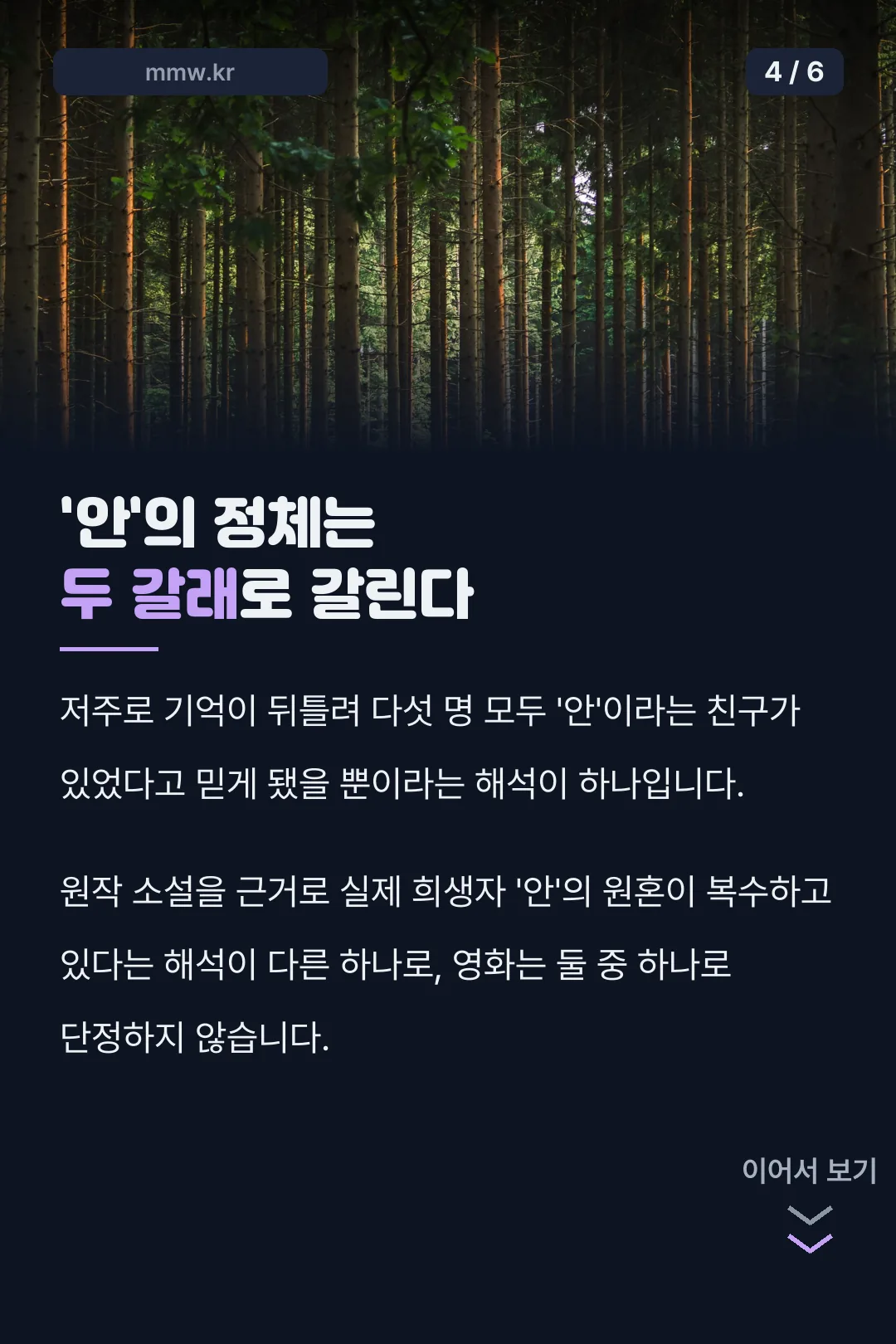 안의 정체 두 해석